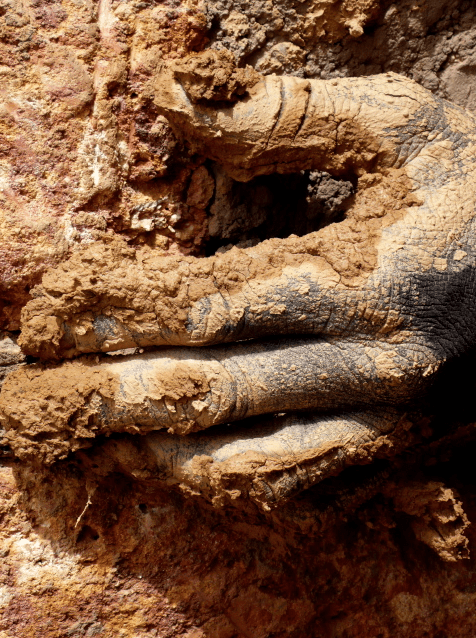 Capture d_écran 2018-12-26 à 13.12.22